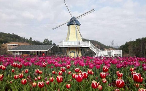 �_�r(n��ng)�_��Մ31헴�ʩ