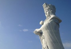 ���������@������Ч��(y��ng)�� ����(g��)�ɰ������(xi��ng)Ŀ���