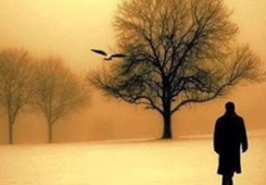 ��׷���ČW������˵ı�Ӱ�������ɰ����e�_������������