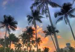 ȫ��(gu��)�_(t��i)��(li��n)��(hu��)�L(zh��ng)���������V�������п���