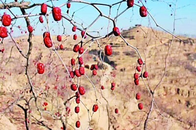 ���˗��r(n��ng)���ٿ��������_��W(xu��)�W(xu��)����(chu��ng)�I(y��)�Fꠡ��r(n��ng)�����桱