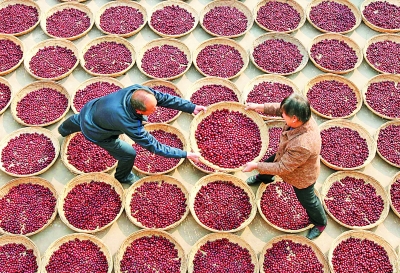 ���˗��r(n��ng)���ٿ��������_��W(xu��)�W(xu��)����(chu��ng)�I(y��)�Fꠡ��r(n��ng)�����桱