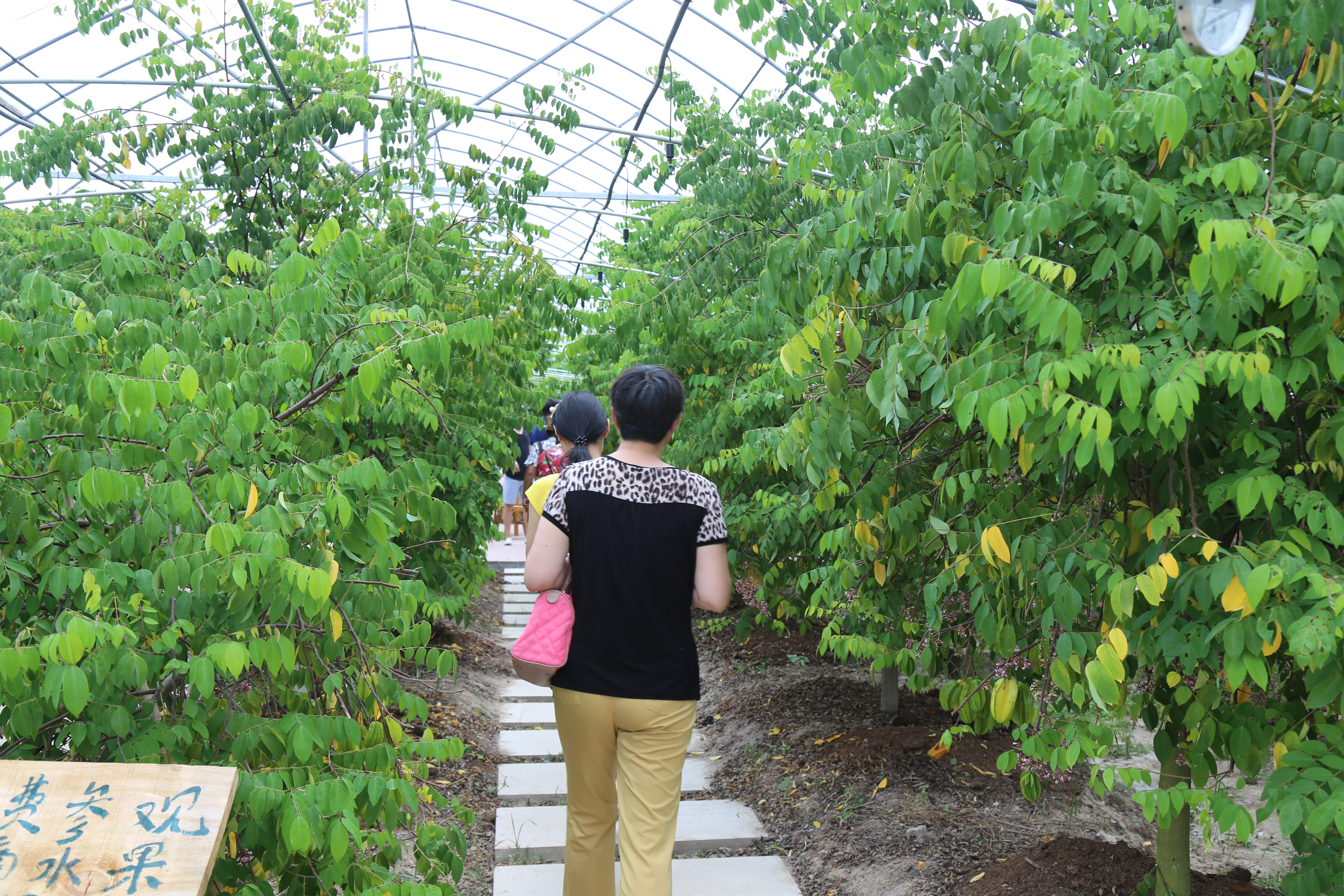 �ɾ��_���r(n��ng)��(chu��ng)�I(y��)�@��(g��u)�������a(ch��n)�ںϡ��ɳ��m(x��)ѭ�h(hu��n)�Gɫ�a(ch��n)�I(y��)�l(f��)չ