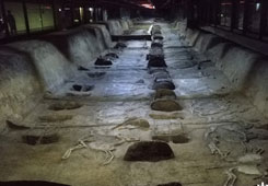 �R�^�еĺ����G��