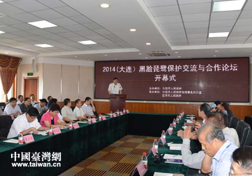 大連市舉辦海峽兩岸黑臉琵鷺保護(hù)專家論壇 大連市舉辦海峽兩岸黑臉琵鷺保護(hù)專家論壇