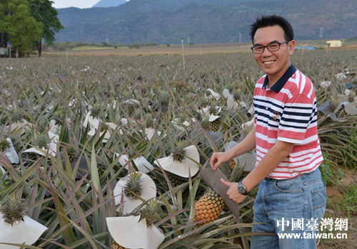 �P��׌����ɽ�µĹ��r(n��ng)������