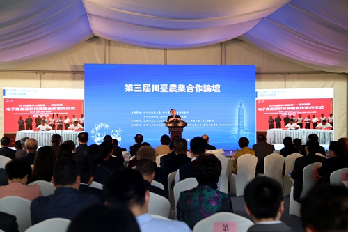 Փ���F(xi��n)��(ch��ng)