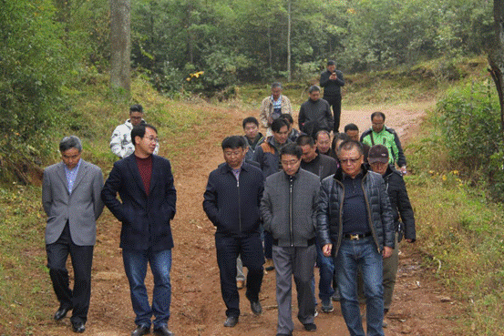 ��(sh��)�ؿ����(hu��)�ɿh���{�l(xi��ng)�r(n��ng)�I(y��)�(xi��ng)Ŀ����