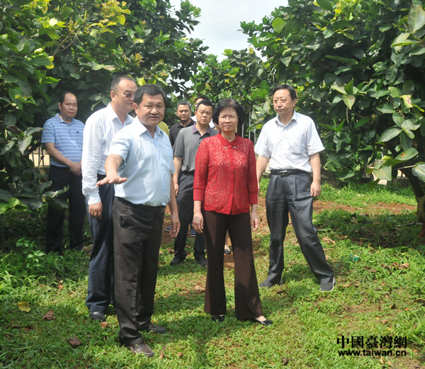 �޲��㸱ʡ�L(zh��ng) ȡ����Sؓ(f��)؟(z��)�ˡ��_(t��i)���S���S��r��B