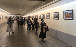 2018���S���������z·������DƬչ���_���_չ