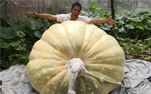 �_�r(n��ng)��÷�ݷN��1040���Ϲ� ��(chu��ng)�Ї������Ϲϼo(j��)�