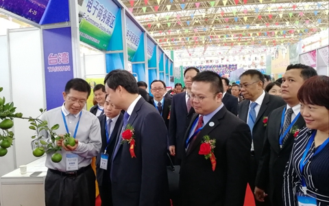 ��ʮһ���Ї�(gu��)-�|�ˣ���ɫ���F(xi��n)���r(n��ng)�I(y��)չʾ���ו�(hu��)�ڏV���e��