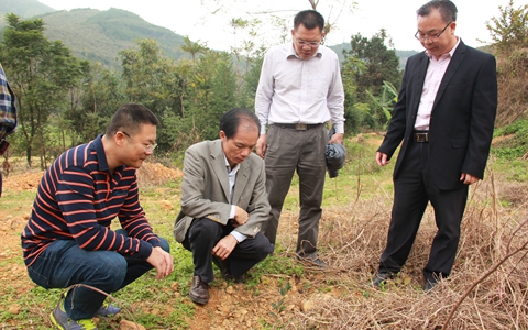 �V��ʡ��ɫ���_(t��i)�k���_(t��i)��l(f��)չ���\����