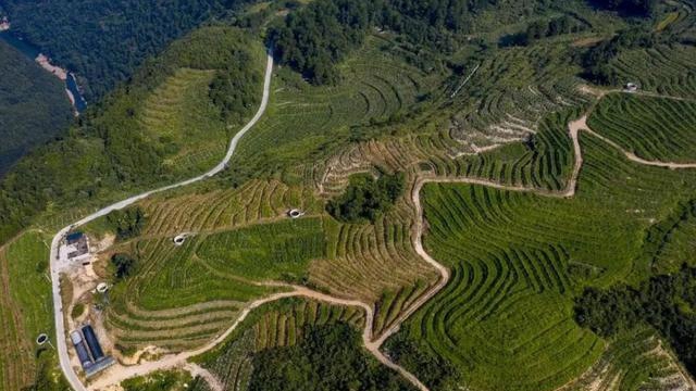 �F������14��(g��)ȫ��(gu��)�����(bi��o)־�r(n��ng)�a(ch��n)Ʒ����pick��һ��(g��)��