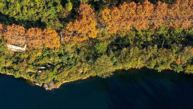 �������������箋(hu��)