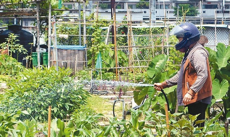 �_(t��i)�ϵǸ�������ӟ���λ�ڸ�Ⱦ��^(q��)���񱊵��ˈ@��ˮ���Lѝ���L��߀�������Bȫ��ʽ��ȫñ���ψ�������(li��n)�ψ�(b��o)�� �����ʔz��