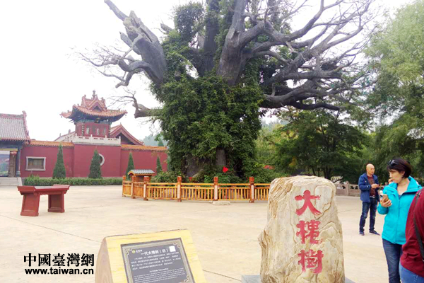 �󻱘�(sh��)��