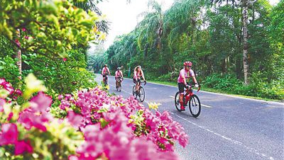 ���κ�����������@�Ӵ��_