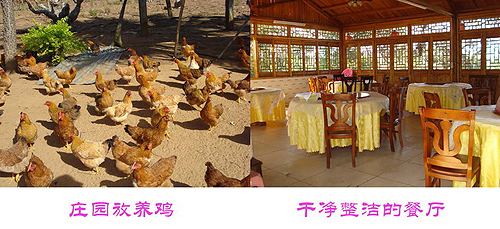 �_(t��i)�Y��I(y��)�|���f�@ �������e�ȼٵĺ�ȥ̎