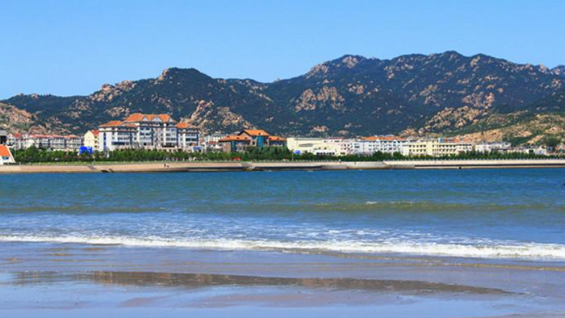 �ϲ�2020�����Q(m��o)�\�����L53.8%