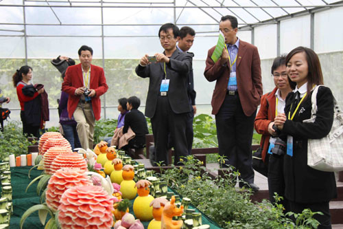 �׌Ãɰ��F(xi��n)���r(n��ng)�I(y��)���[��������������(n��i)���e��Ŀ��