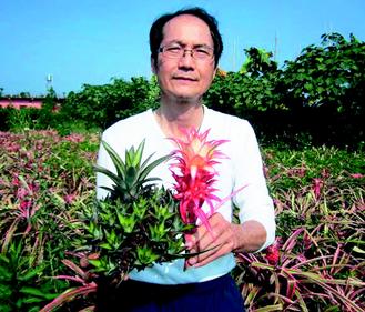 �_���r(n��ng)��N����ʲ��}���N��һ�գ��D��