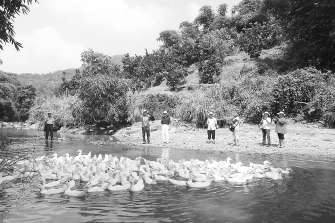 �_(t��i)���B(y��ng)���f(xi��)��(hu��)�����֡��Ͼ�������