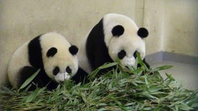 �_���a(ch��n)�I(y��)�֣����A�С��ڙ�(qu��n)��Ʒ��(chu��ng)��߅Ч��5�|�_��