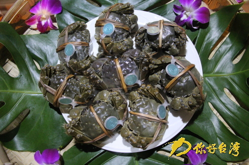 苗栗推出大陸專家指導的優(yōu)質大閘蟹 苗栗推出大陸專家指導的優(yōu)質大閘蟹