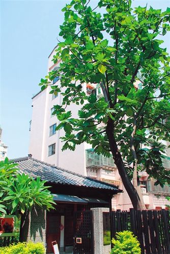 ����������һֱ�����Tǰ�@���������