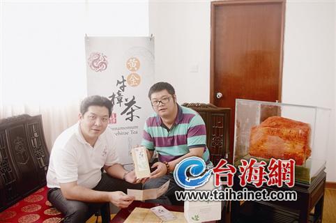 臺(tái)商與廈門(mén)“合伙人”共推牛樟樹(shù)葉茶