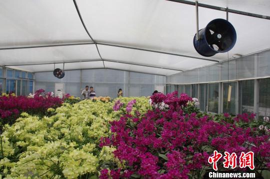 �ɰ�������(hu��)�������衱���p�_(t��i)�����ܿ纣������(hu��)��