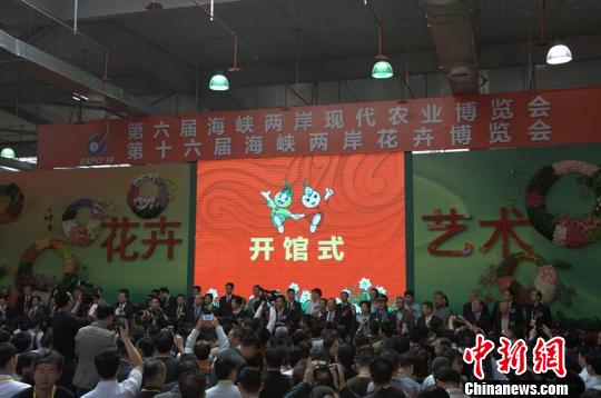 240余家臺企參展兩岸農(nóng)博會·花博會