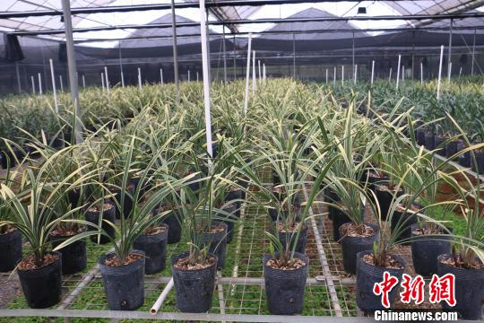 �_�����������ݴ��조�m���ۇ������Ӯ�?sh��)��r(n��ng)���¸�