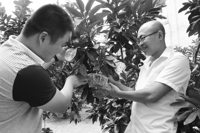 �޽��_�r(n��ng)��(chu��ng)�⸣���gϪ����׃������Ԫ����