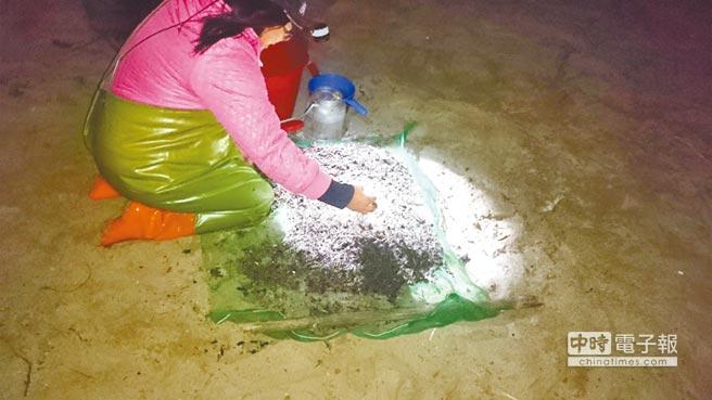 寒流來襲 鰻魚捕撈產(chǎn)值可望突破9000萬(圖)