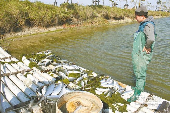 �_(t��i)�����r(n��ng)�p7.7�|��11��ӛ� �B(y��ng)ֳ�I(y��)��K�˃r(ji��)�͝q