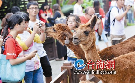 大陸50名青年跨海尋愛 將與臺灣50名青年聯(lián)歡 大陸50名青年跨海尋愛 將與臺灣50名青年聯(lián)歡