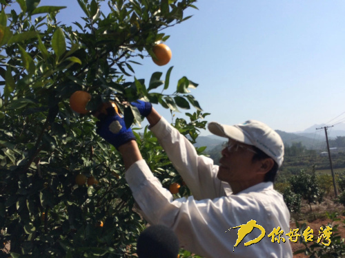 臺旅行家大陸改行當(dāng)農(nóng)夫 臺旅行家大陸改行當(dāng)農(nóng)夫