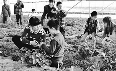 臺灣媳婦回娘家反哺柘榮搞農(nóng)業(yè)