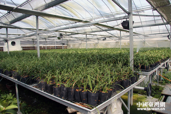 ���Տ]���_(t��i)���r(n��ng)�I(y��)��(chu��ng)�I(y��)�@��(n��i)�_(t��i)���m֮���r(n��ng)�I(y��)���B(t��i)�@�����Ї�(gu��)�_(t��i)���W(w��ng) ����Ȼ �z��