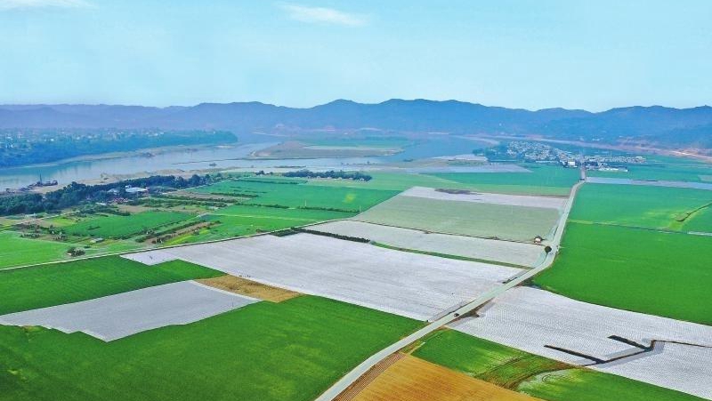 2020���Ĵ��Zʳ�a(ch��n)��ͻ��700�|��