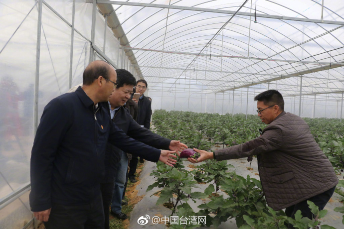 ���_�k�����������붨���{(di��o)�� �δ�������Խ��Խ��