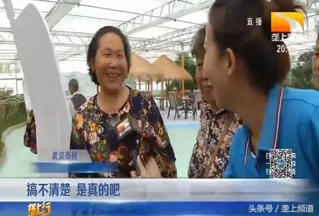 農業(yè)嘉年華在武漢開幕:這是一場農民的狂歡 農業(yè)嘉年華在武漢開幕:這是一場農民的狂歡