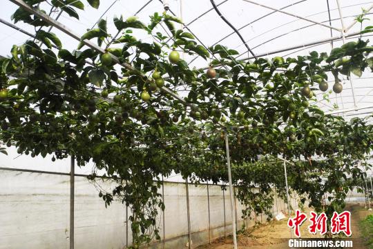 �_(t��i)���F(xi��n)���r(n��ng)�I(y��)���F�ݡ�ġ����