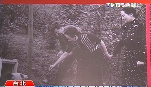 臺(tái)北推出宋美齡抱熊貓公仔超級(jí)吸睛(圖)