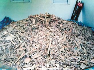 �_(t��i)���l(f��)�F(xi��n)��ǧ�o(w��)���׹ǂ��������������xʿ���D��