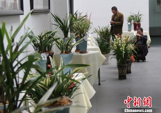 �_���mչ25���ڏV�|혵�ꐴ廨�������Ļ��չ��500�����_���m��