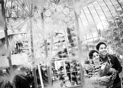 �N��(li��n)���ű�������ζ��Խ�ɰ��ĵ�