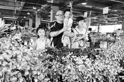 �_(t��i)���ƏV���Ի����㡱��Ԫ�����D��